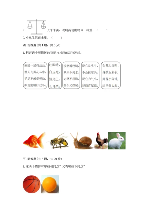 教科版一年级下册科学期末测试卷精品【黄金题型】.docx