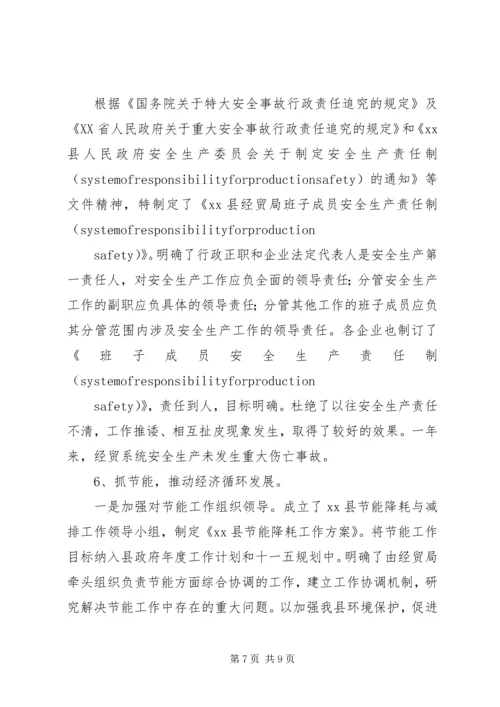 经贸局工作总结及工作计划.docx