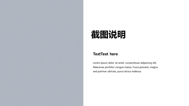 扁平PPT截图说明