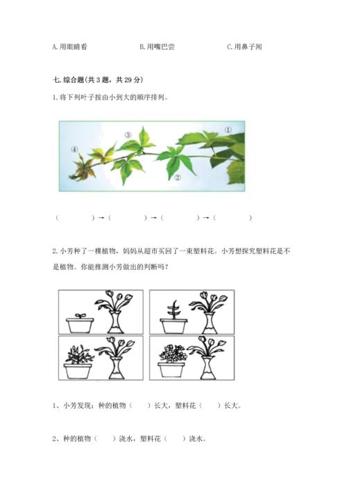 教科版科学一年级上册第一单元《植物》测试卷含完整答案（全优）.docx