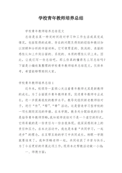 学校青年教师培养总结_2.docx