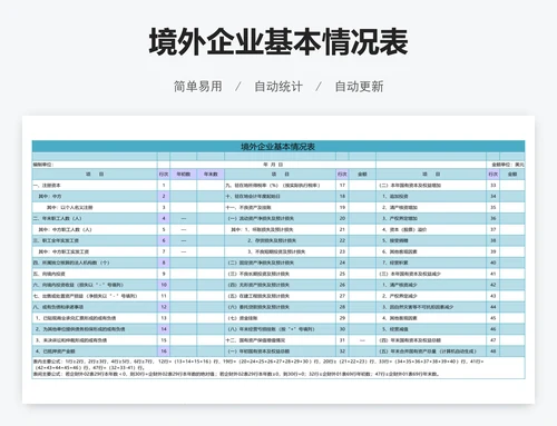 境外企业基本情况表