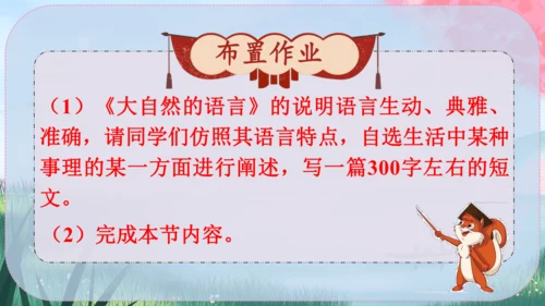 5《大自然的语言》课件