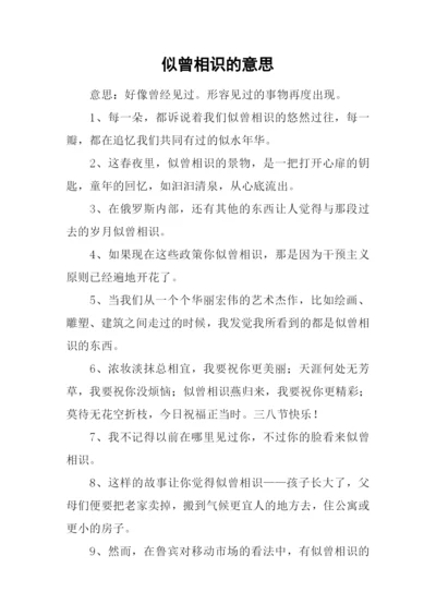 似曾相识的意思.docx