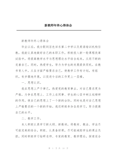 新教师年终心得体会.docx