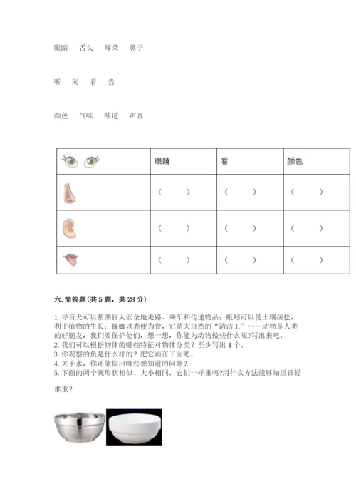 教科版一年级下册科学期末测试卷（典优）.docx