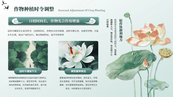 墨绿色中国风夏至节气PPT模板