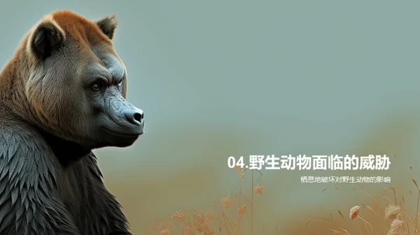 简约风其他行业教学课件PPT模板