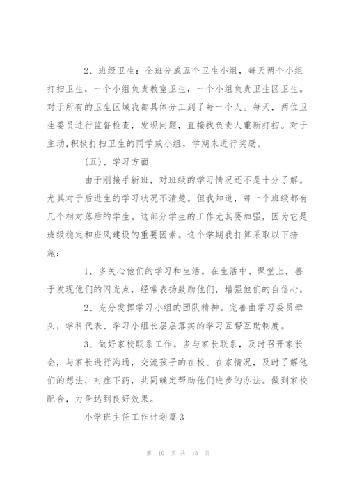 小学班主任工作计划范文.docx