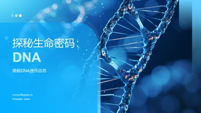 探秘生命密码：DNA