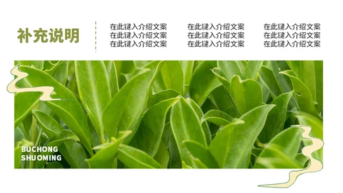 茶叶茶庄春茶产品上新介绍手册通用PPT模板