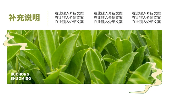 茶叶茶庄春茶产品上新介绍手册通用PPT模板
