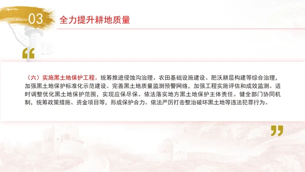 关于加强耕地保护提升耕地质量完善占补平衡的意见全文学习PPT课件