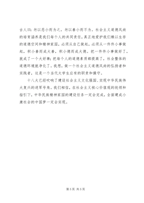 践行社会主义核心价值观做新时代优秀好少年活动方案 (5).docx