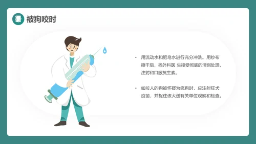 绿植风格日常急救知识PPT课件模板