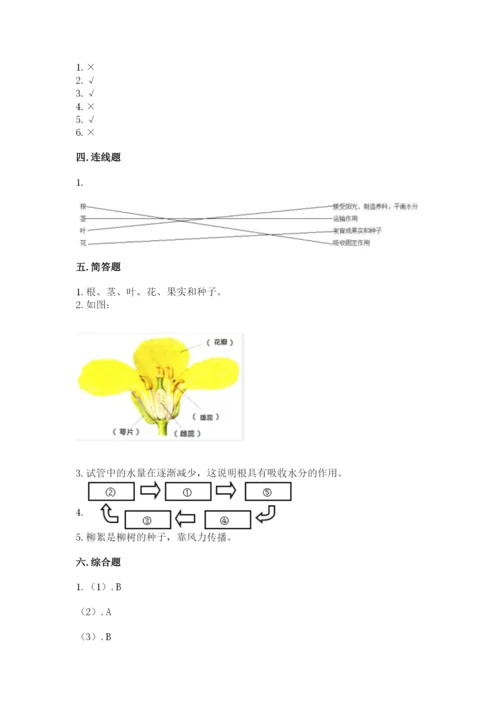 教科版四年级下册科学第一单元《植物的生长变化》测试卷及答案一套.docx