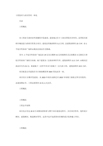 工程监理与项目管理一体化案例.docx