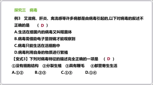 【人教八上生物期中复习考点梳理+临考押题】第四、五章 细菌、真菌和病毒（串讲课件）(共30张PPT)