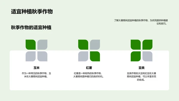 大暑农业实务PPT模板