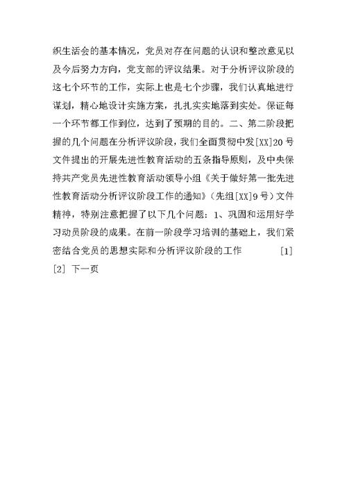 保先二阶段分析评议阶段总结