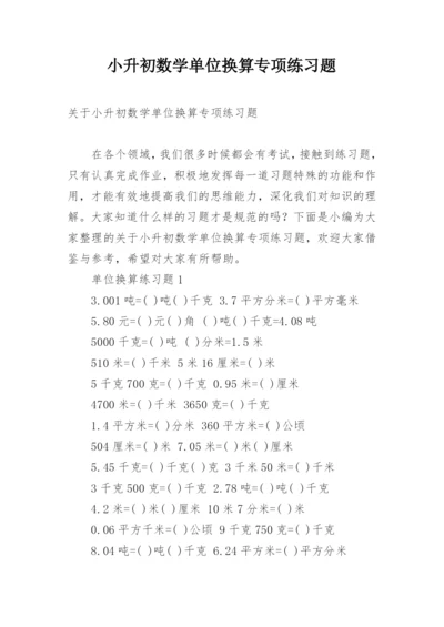 小升初数学单位换算专项练习题.docx