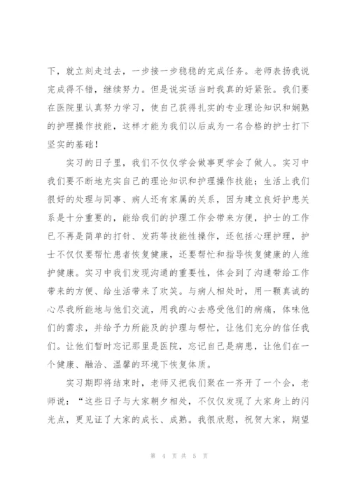 护士个人实习工作总结范本.docx