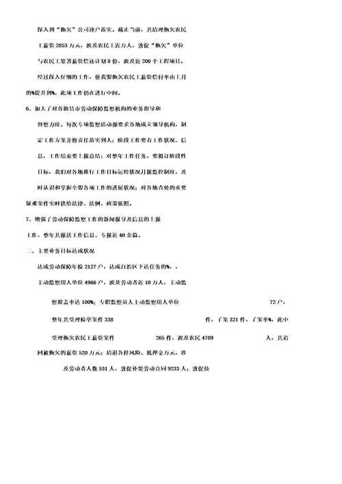 劳动保障监察个人的工作计划