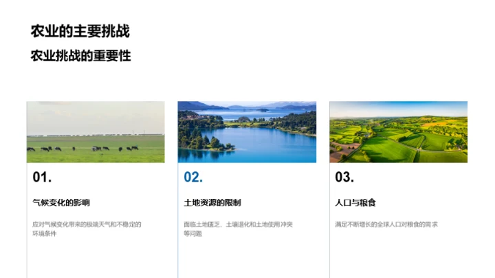 农业的创新之路