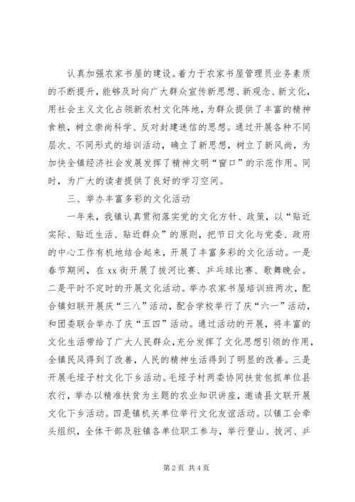 乡镇年度重点文化工作总结.docx