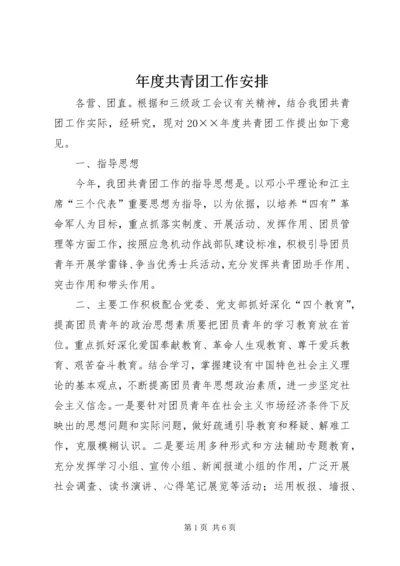 年度共青团工作安排.docx