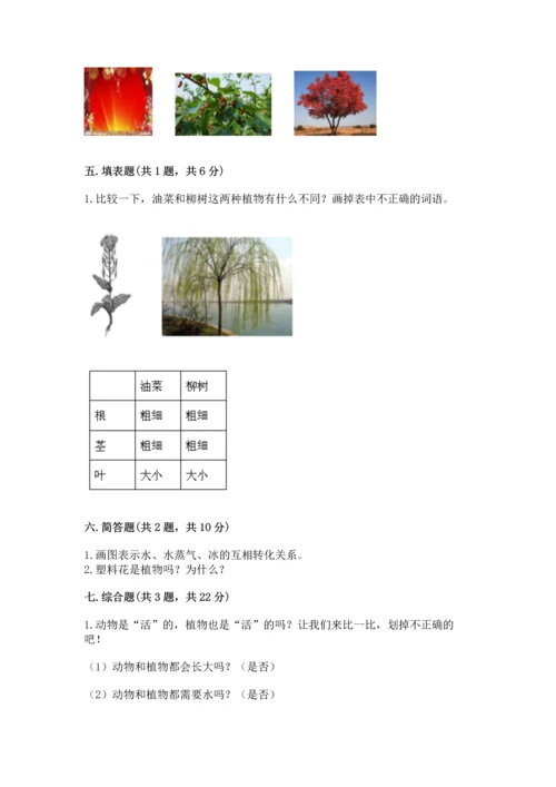 教科版科学一年级上册第一单元《植物》测试卷【a卷】.docx