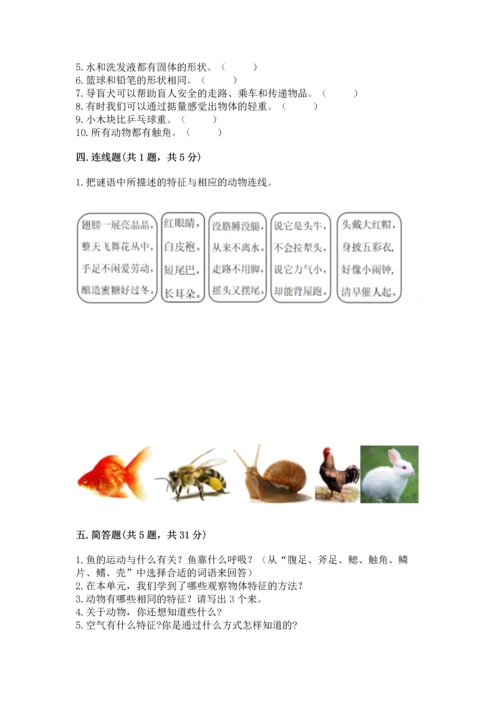 教科版一年级下册科学期末测试卷精品（典优）.docx