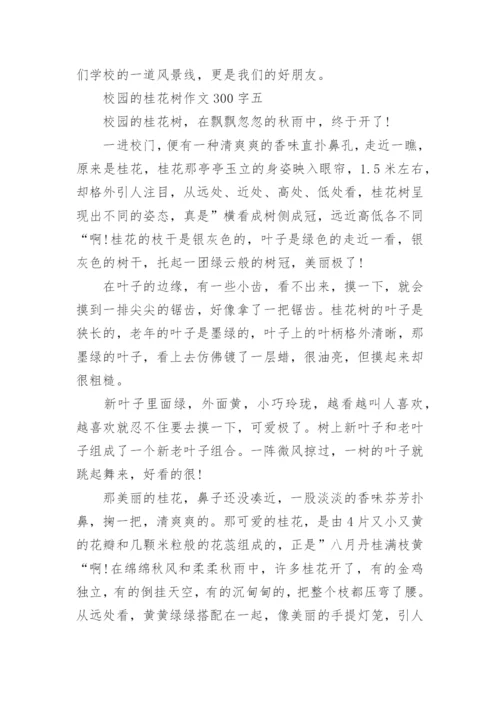 校园的桂花树作文300字.docx