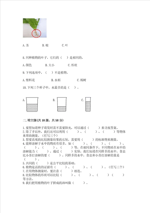 教科版一年级上册科学期末测试卷及答案最新