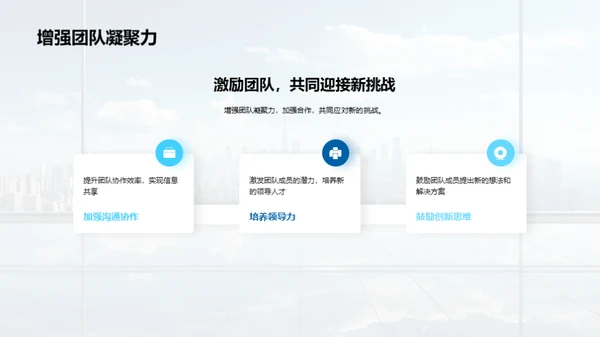 20XX年度绩效与挑战
