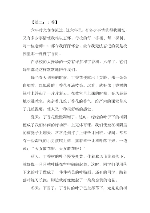借景抒情的作文700字.docx