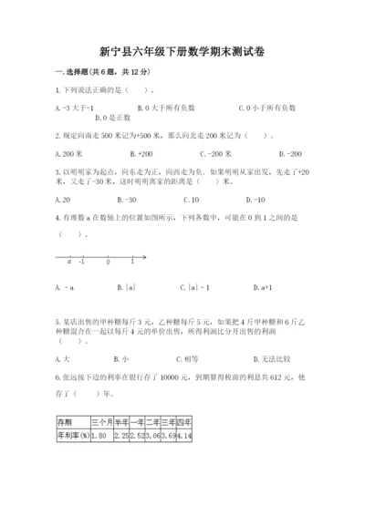 新宁县六年级下册数学期末测试卷精品加答案.docx