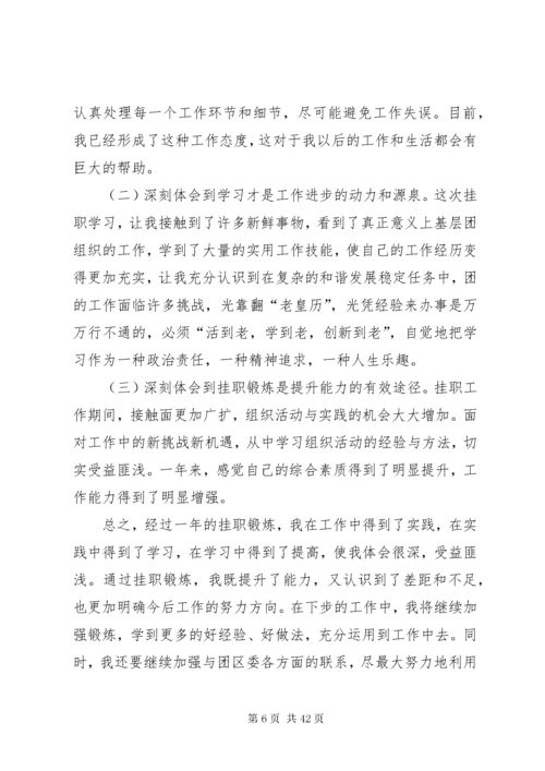 挂职锻炼个人总结（10篇）.docx