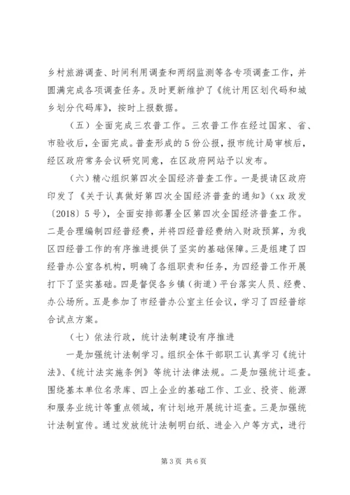 统计局XX年上半年工作总结和下半年工作安排.docx