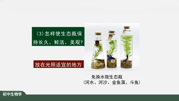1.2.2 生物与环境组成生态系统 课件（共30张PPT）