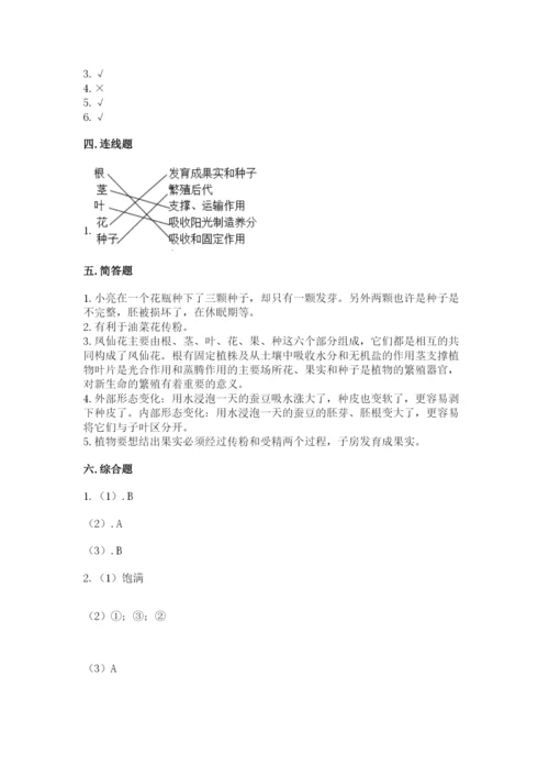 科学四年级下册第一单元《植物的生长变化》测试卷精品【黄金题型】.docx