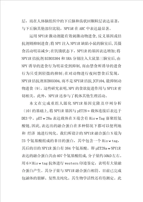 重组人神经肽Y受体Y1融合蛋白的表达、纯化及其生物信息学分析研究