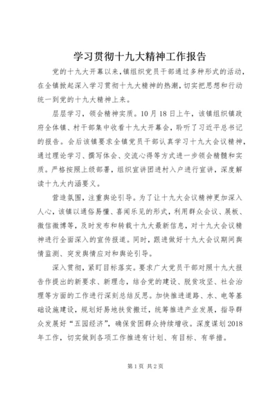 学习贯彻十九大精神工作报告.docx