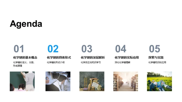 化学键秘境探索