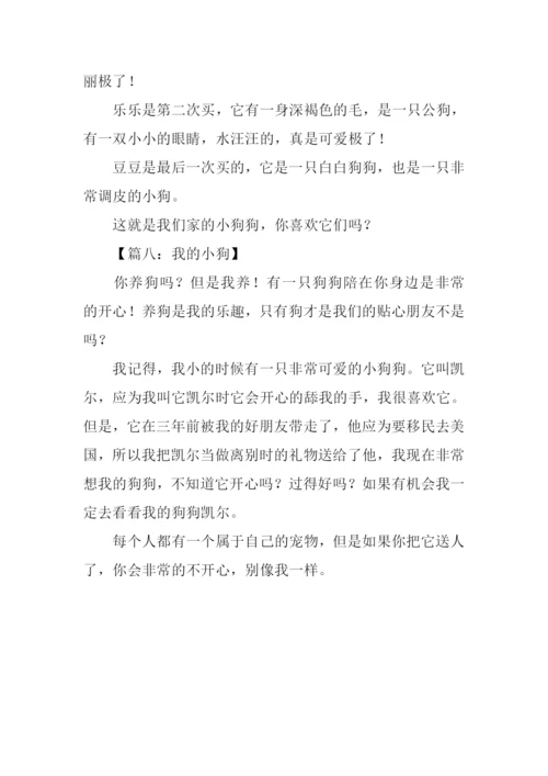 小狗的作文100字.docx