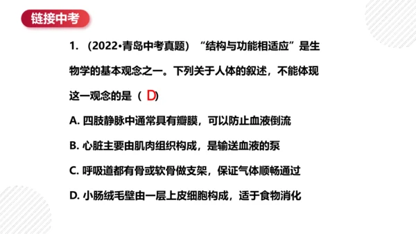 七年级下册4.4人体内物质的运输（复习课件）(共27张PPT)