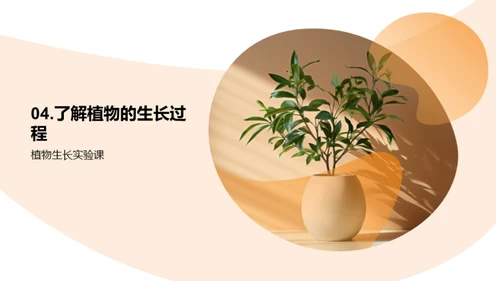 揭秘植物生长奇观