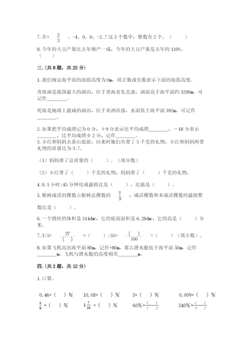 河南省平顶山市六年级下册数学期末考试试卷附参考答案（典型题）.docx