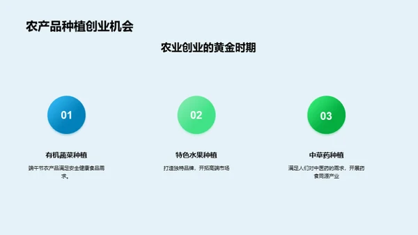 科技风农林牧渔节日节气PPT模板