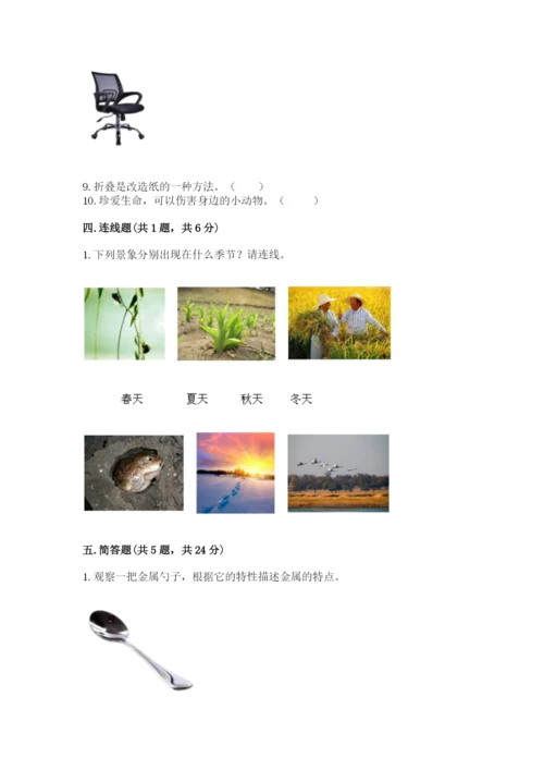 教科版二年级上册科学期末测试卷含完整答案（网校专用）.docx